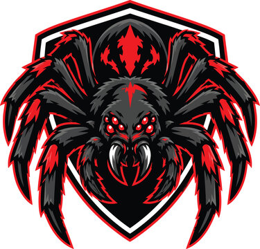 Aggressive black widow spider mascot vector logo, angry cartoon toxic spider head with sharp fangs and shield crest for esports gaming team and streetwear POD design