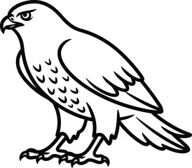 Obraz premium Black and white hawk illustration, bird of prey vector, wildlife icon, animal design element