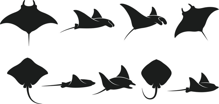 Black stingray silhouettes, marine animal icons, vector stingrays, ocean creatures