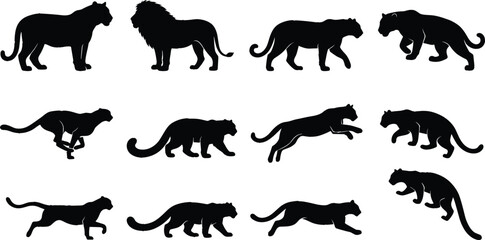 Big Cat Silhouette Collection Featuring Lion Panther Leopard and Cougar in Walking Running and Hunting Wildlife Poses © MdMorsalin