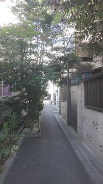 日本の日常・木漏れ日が美しい住宅街の細い道（縦動画） / Everyday Japan Beautiful Sunlit Narrow Street Vertical