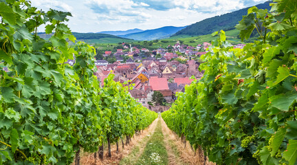 Obraz premium Riquewihr, un des plus beaux villages d’Alsace 