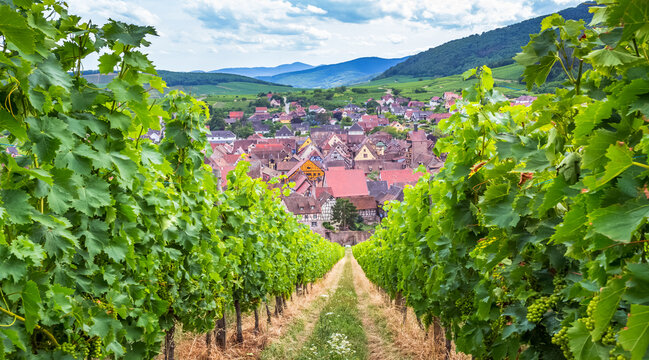 Riquewihr, un des plus beaux villages d&rsquo;Alsace 
