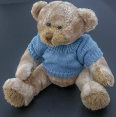 Ourson au pull bleu  © Unclesam