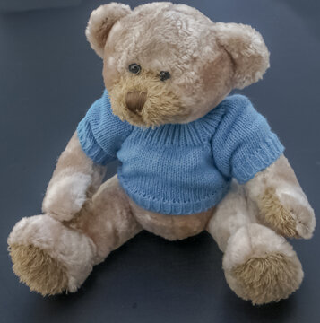 Ourson au pull bleu 