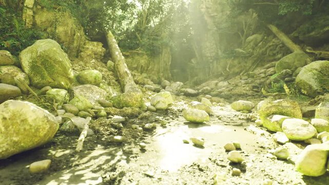 Dappled sunlight across shallow creek, expansive view of mossy boulders and fallen logs, cool undergrowth tones, ranger trail suggestion for outdoor guide