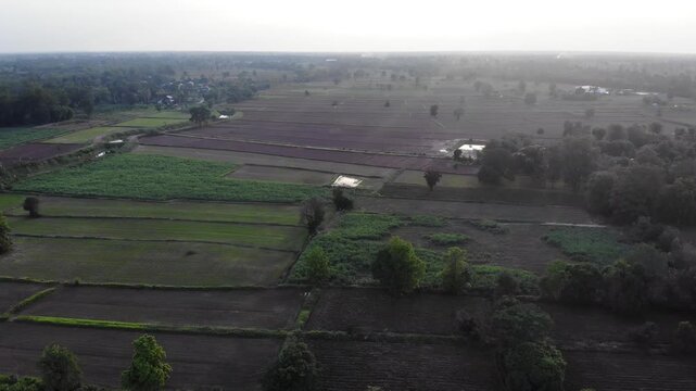 Drone view with the country farm as sugar cane, rubber tree and rice plantation the landscape. View of lush green paddy field and land for growing other plants during the  growing season in Thailand.