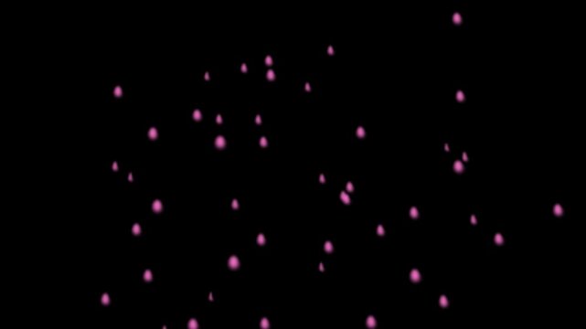 White Trail Fireworks Exploding into Pink Particles Animation with Transparent Background