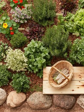 Lush permaculture herb garden with a wicker harvest basket and work gloves on a weathered wood plank, featuring vibrant edible flowers and organic mulch for sustainable gardening