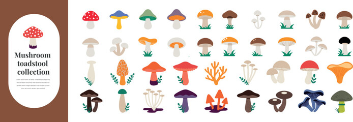 Colorful mushroom toadstool collection icons © MdAzizul