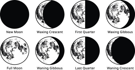Diagram of moon phases showing lunar cycle from new to full moon with astronomy astrophysics crescent illustration astronomical celestial education research observation astrology © Kanon Islam
