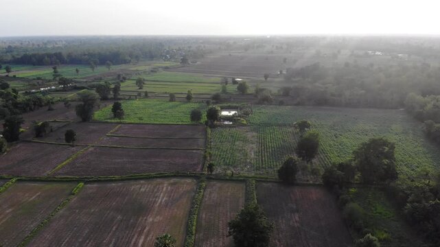 Drone view with the country farm as sugar cane, rubber tree and rice plantation the landscape. View of lush green paddy field and land for growing other plants during the  growing season in Thailand.
