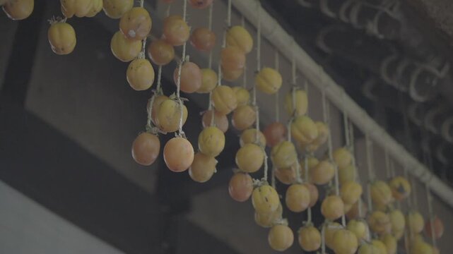 日本の原風景 古民家の軒下に吊るされた干し柿とニワトリの鳴き声 Log撮影 / Japan's Unspoiled Landscape Dried Persimmons Hanging Under Eaves with Rooster Crowing Sound Log footage