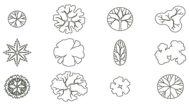 Vector set of tree canopy symbols in top-down plan view, varying species and sizes, for landscape architecture and site planting plans.