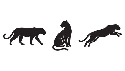 black and white silhouette set of tiger very high quality vector illustration. © dinesh
