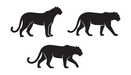 black and white silhouette set of tiger very high quality vector illustration. © dinesh