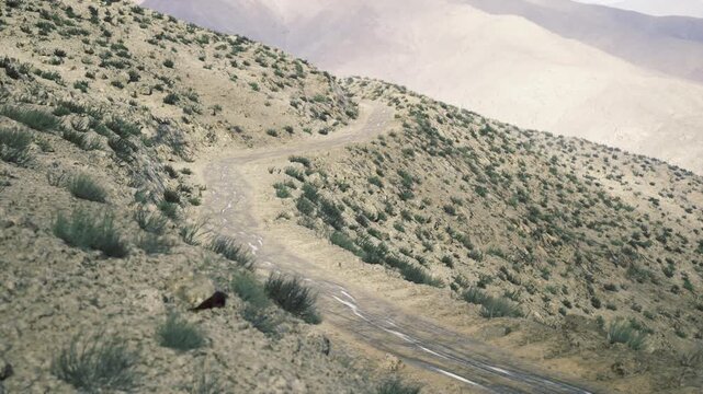 Erosion alters scenery. Diminished hillside displays subdued colors and sparse plants. Eroded terrain shows gentle tones and minimal vegetation growth