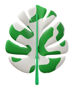 3D Monstera deliciosa Alba leaf, isolated on background. Tropical botanical leaf perfect for summer, eco products, wellness, nature, decor, stickers, cosmetic, wellness projects. 3d render
