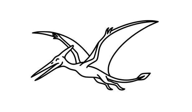 Pterosaur Outline Vector &ndash; Minimal Animal Line Art Flying Prehistoric Reptile Illustration