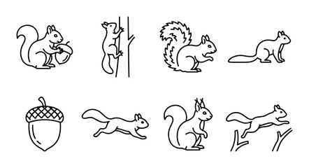 Animal icon set squirrels and acorn outline styles, white background © pixpond