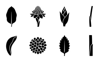 Botanical Silhouettes PNG Collection various leaves flowers buds stems © Pnghub10