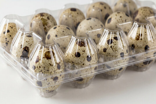 Small speckled quail eggs neatly arranged inside a clear plastic protective carton