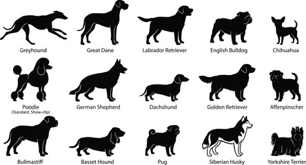 Collection of Various Dog Breeds Silhouettes Canine Pets Vector © Natural flower 