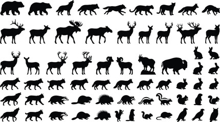 Fototapeta premium Collection of various wild forest animal silhouettes isolated on white background for design projects