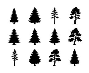 Obraz premium Conifer Tree Silhouettes Collection: Evergreen Pine and Fir Vector Icons for Nature and Forest Designs, Winter and Woodland Themes