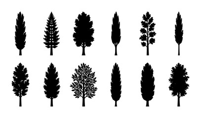 Diverse Tree Silhouettes Collection, 12 Vector Icons for Nature and Landscape Design Elements, Evergreen and Deciduous Plant Shapes © Shima