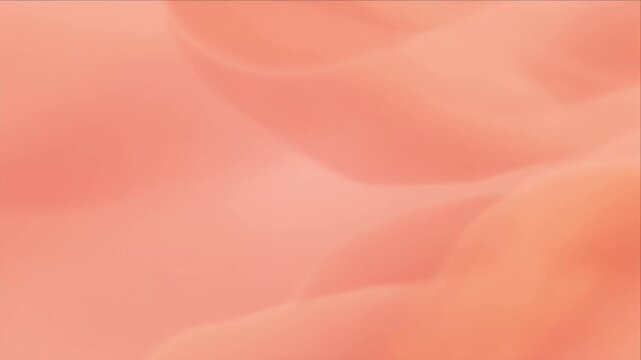 Luxury light overlay background pastel wave texture with soft peach gradient gentle blur abstract dreamy elegant minimal design for spa romantic banner and modern presentation layout
