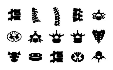 Obraz premium Human Spine Anatomy Icons Set, Vertebrae and Spinal Cord Cross-Sections, Medical and Healthcare Vector Graphics