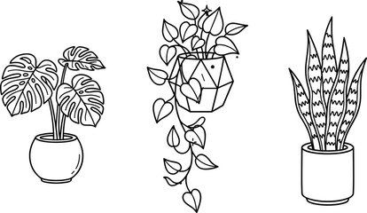 Potted houseplants vector line art collection featuring tropical monstera deliciosa, trailing hanging pothos ivy, and upright striped snake plant in modern ceramic pots © MSTKAOCHARA