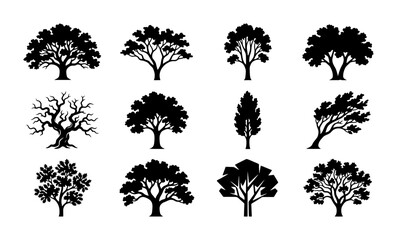 Fototapeta premium Diverse Tree Silhouettes Collection, 12 Vector Icons for Nature, Forest, and Garden Design Elements
