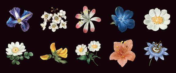 Fototapeta na wymiar Vector illustration of ten colorful, detailed flowers on a dark background.