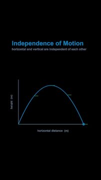 Independence of Motion Physics Diagram Labeled Animated Overlay Alpha 4K Vertical 9x16 Light