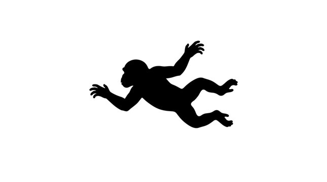 Silhouette of a monkey jumping against white background
