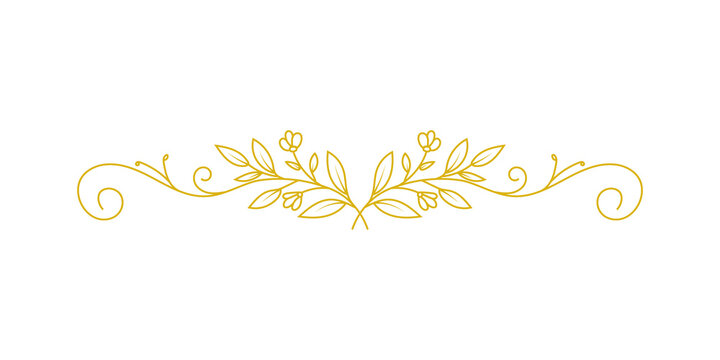Elegant golden floral divider with symmetrical leaves and swirls, decorative botanical flourish element for wedding invitations and greeting cards isolated on transparent background