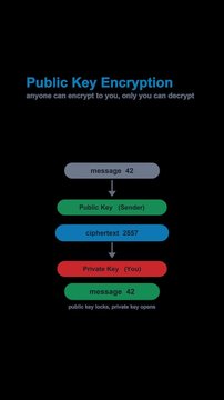 Public Key Encryption Cryptography Diagram Labeled Animated Overlay Alpha 4K Vertical 9x16 Light