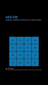 AES-256 Encryption Diagram Labeled Animated Overlay Alpha 4K Vertical 9x16 Light