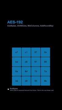 AES-192 Encryption Diagram Labeled Animated Overlay Alpha 4K Vertical 9x16 Light