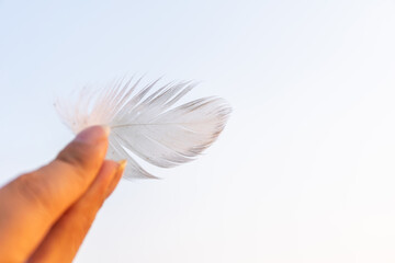 Soft white feather held between fingers glowing warm sunset light Delicate natural texture minimal background creating peaceful elegant atmosphere © NongEngEng