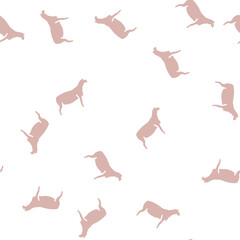 dorper sheep vector glyph seamless pattern dorper sheep sign illustration © vectorwin