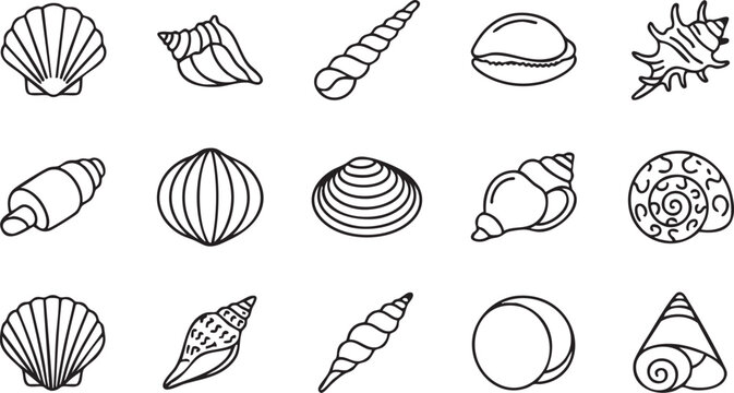 Collection of fifteen seashell with various spiral, bivalve, and conch shapes in a black and white line set for ocean themes