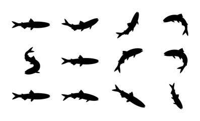 Fototapeta premium Diverse Fish Silhouettes Collection, Aquatic Life Vector Icons, Marine Animal Shapes, Seafood Ingredient Graphics, Underwater Wildlife Set