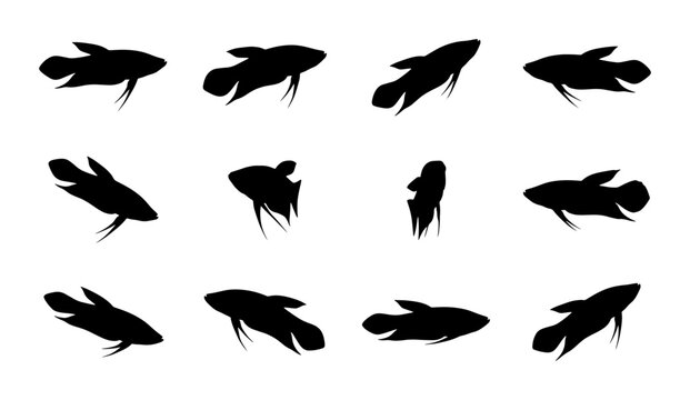 Betta Fish Silhouettes Collection, Aquatic Animal Vector Icons, Siamese Fighting Fish Graphics, Underwater Creature Set, Black and White Marine Life Illustrations