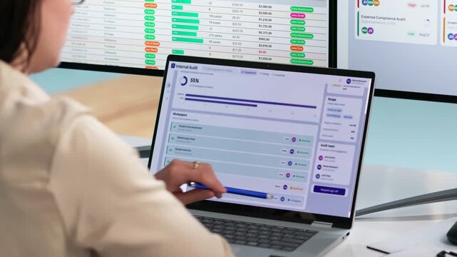 An Internal Auditor Reviews Risk Dashboard