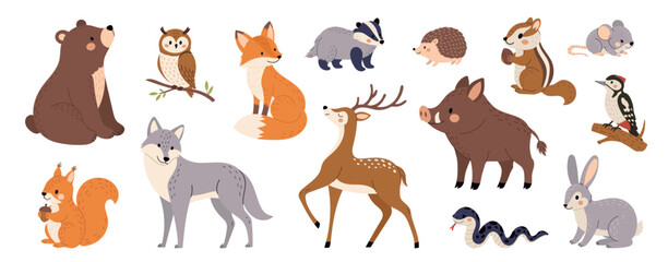 Obraz premium Woodland forest animals collection with bear, fox, wolf, deer, wild boar, rabbit, squirrel, owl, badger, hedgehog, mouse, snake, woodpecker isolated on white background. Hand drawn vector illustration