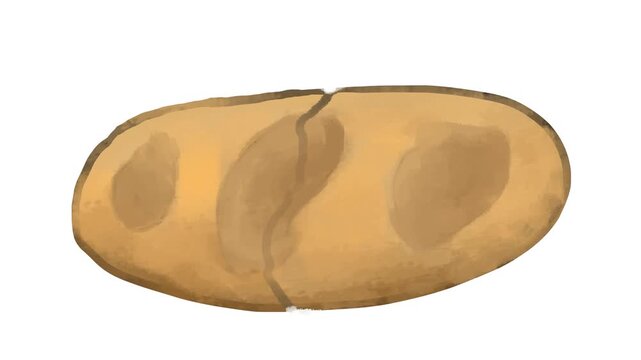 A bun or loaf or bread is broken in half.