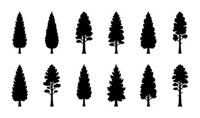Fototapeta premium Coniferous Tree Silhouettes Collection, Evergreen Forest Icons, Pine and Fir Tree Vector Set, Nature Landscape Elements